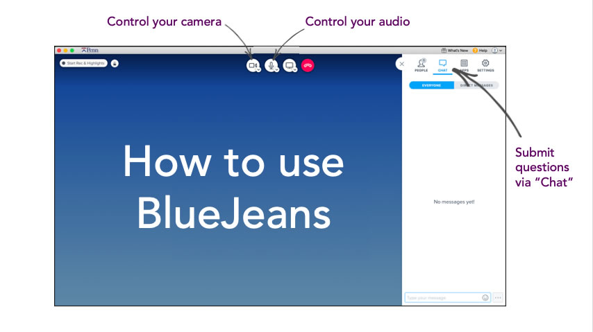 Screenshot of the BlueJeans platform that instructs patients to use the chat function at the top right of the screen during group sessions